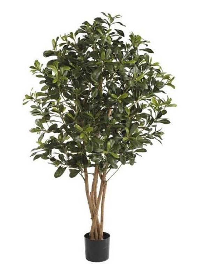 Plantas Artificiales Muebles Río | Planta Mod. Pittosporum