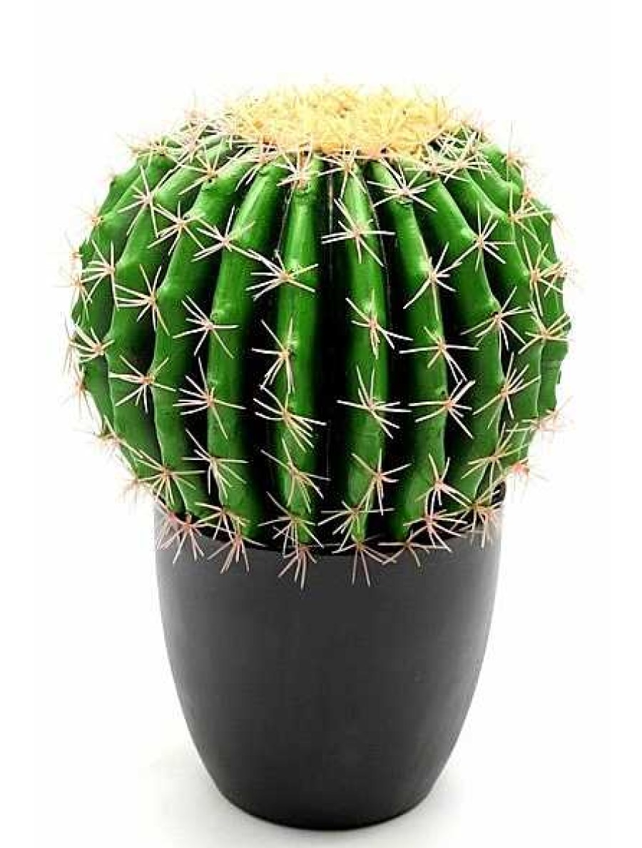 Plantas Artificiales Muebles Río | Cactus Mod. Asiento De Suegra