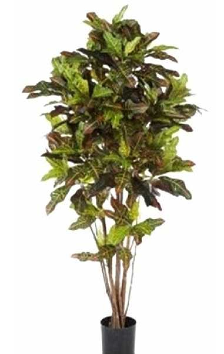 Plantas Artificiales Muebles Río | Rbol Mod. Croton Maduro