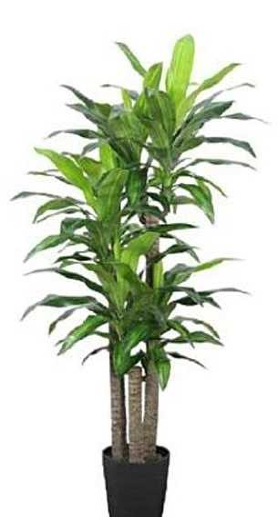 Plantas Artificiales Muebles Río | Rbol Mod. Dracena