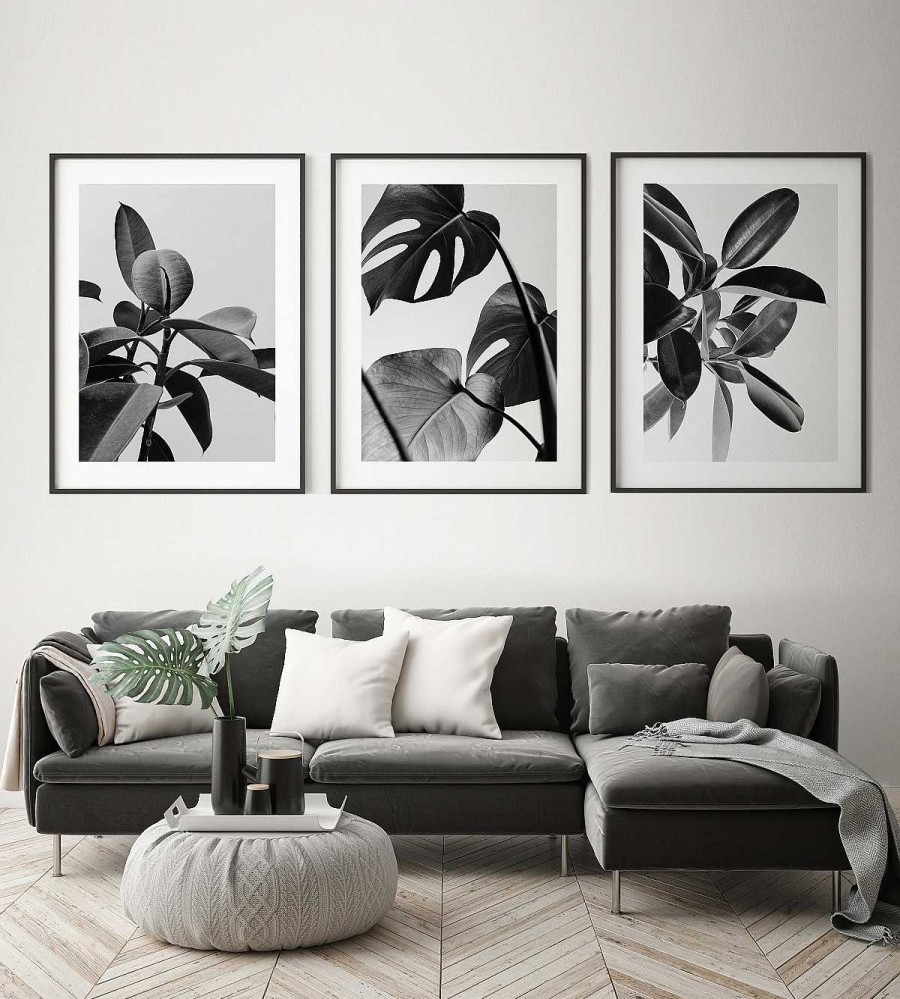 Cuadros Muebles Río | Composici N Black Monstera Ref. Q4089